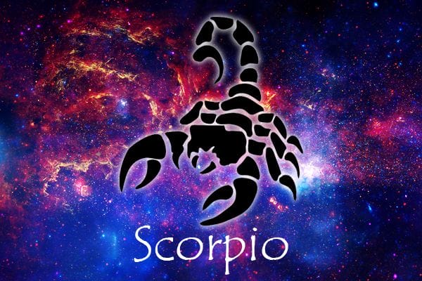 Zodiac Symbol Scorpion