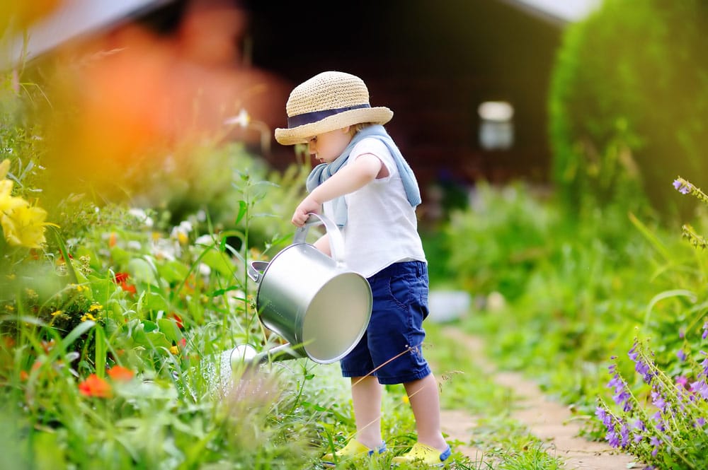 In the garden.