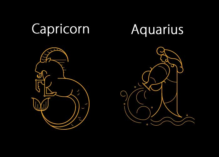 Capricorn and Aquarius Compatibility Relationship, Love, Friendship