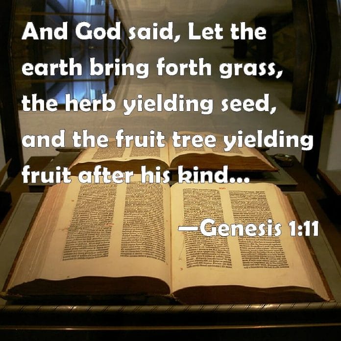 Genesis 1:11