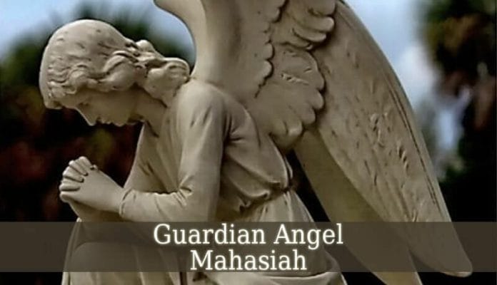 Angel Mahasiah Provides